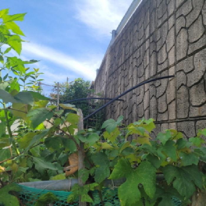 물건 사진 1