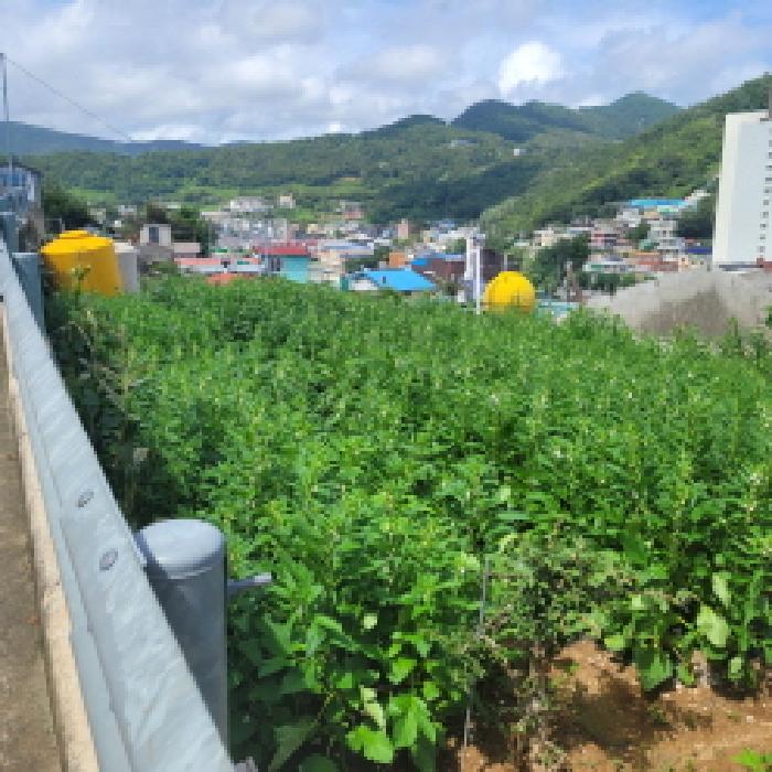 물건 사진 7