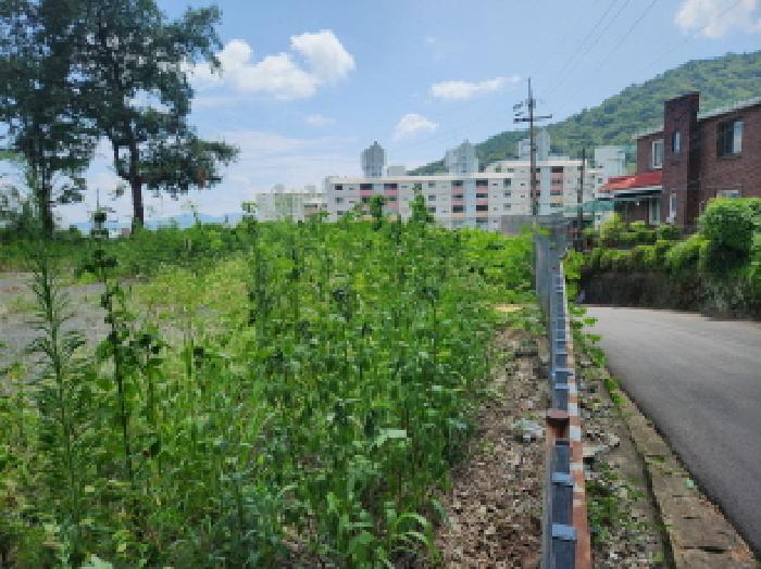물건 사진 51