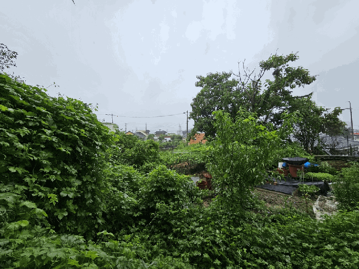 물건 사진 66