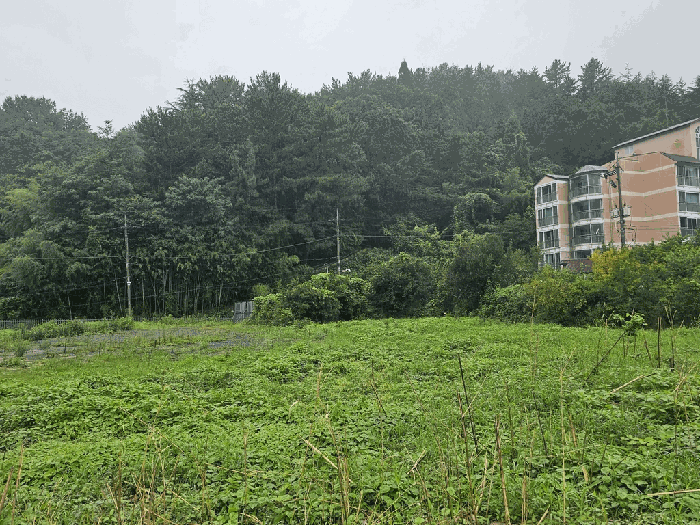 물건 사진 78