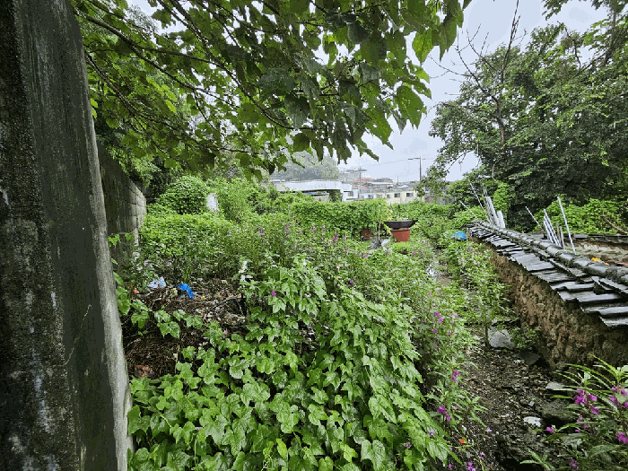 물건 사진 82