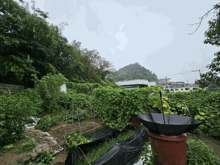 물건 사진 83