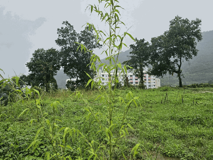 물건 사진 96