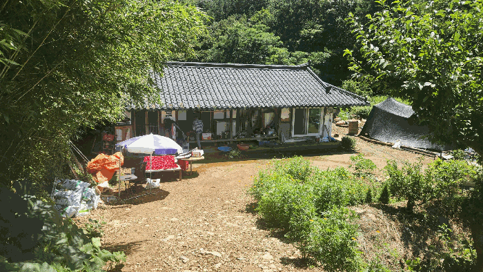 물건 사진 19