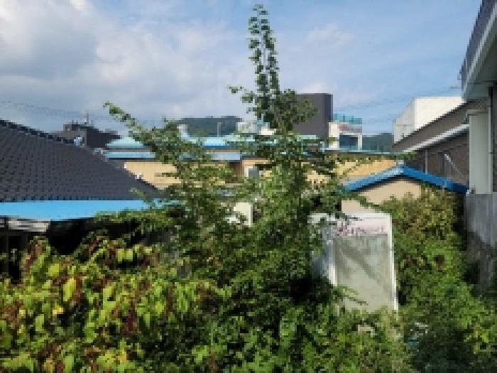 물건 사진 7