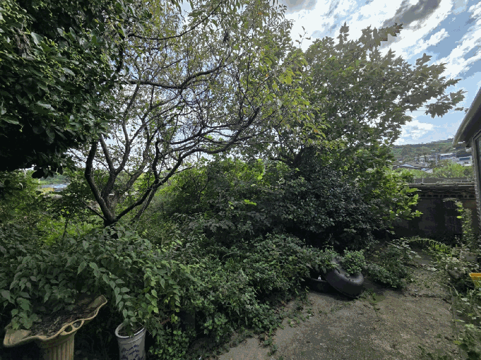 물건 사진 20
