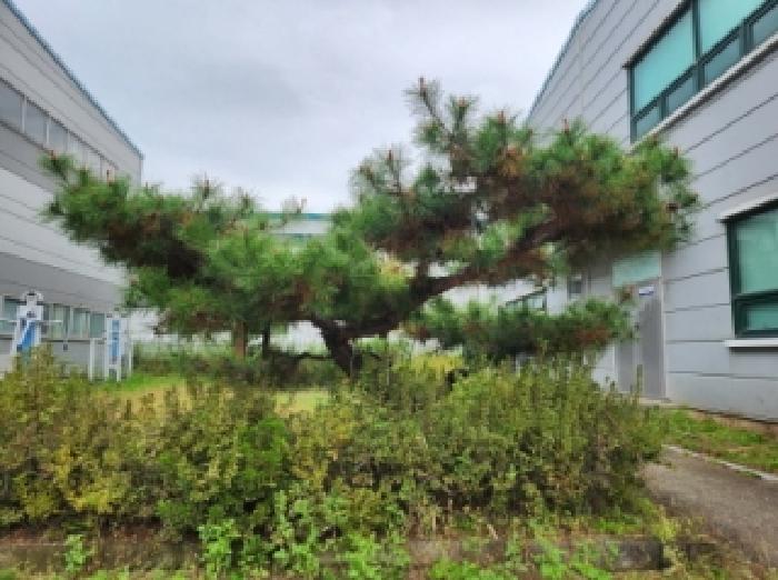 물건 사진 29