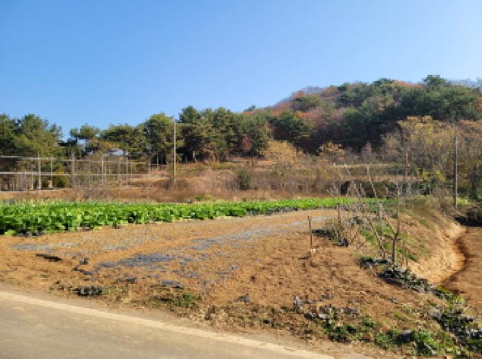 물건 사진 1