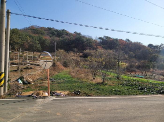 물건 사진 2