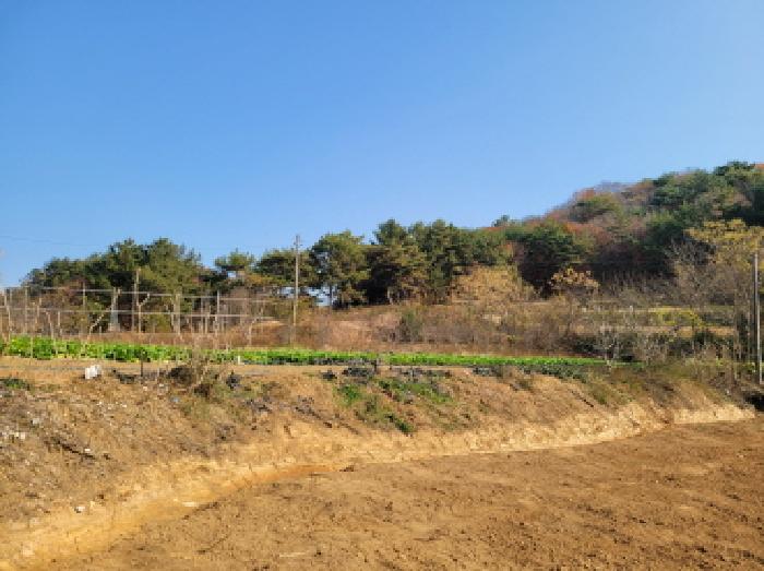 물건 사진 3