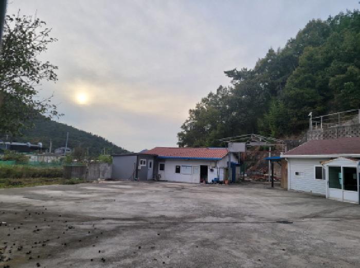 물건 사진 3