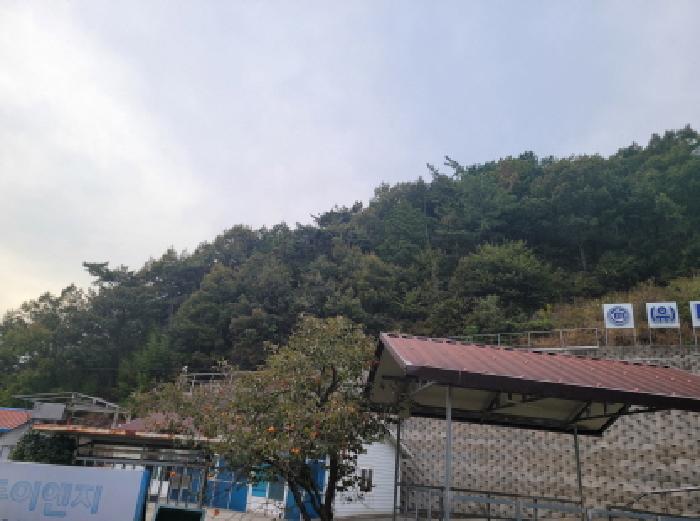 물건 사진 5