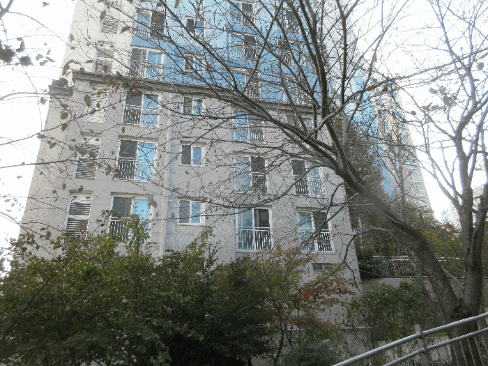 물건 사진 10