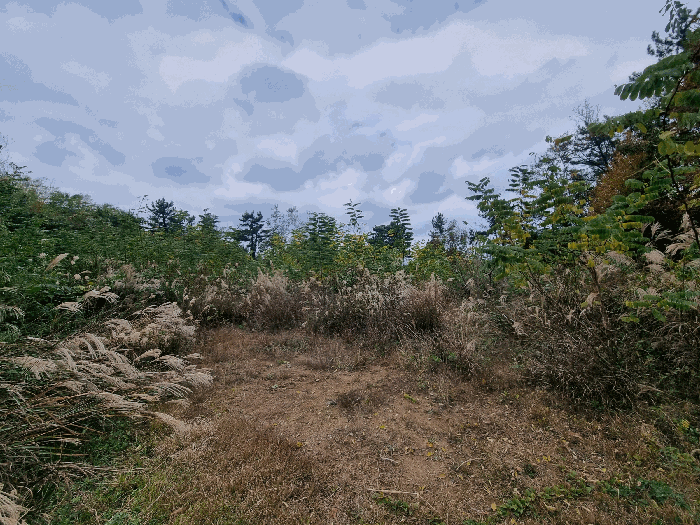 물건 사진 17