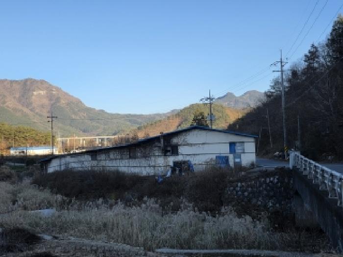 물건 사진 17