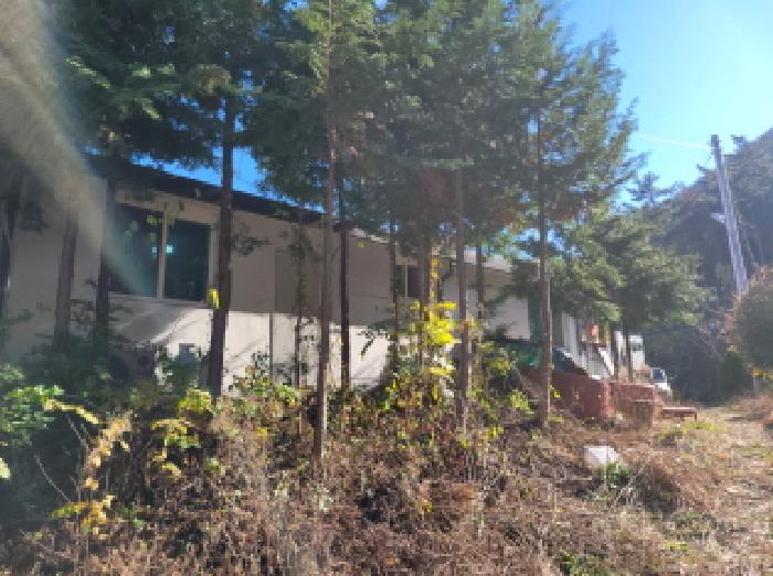 물건 사진 23