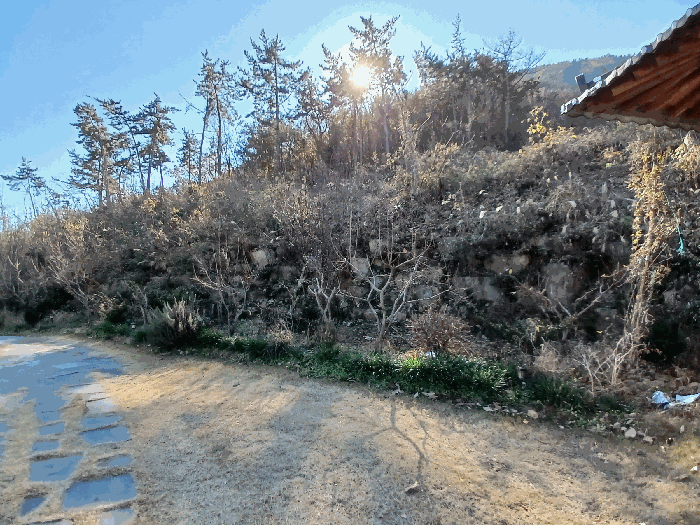 물건 사진 50