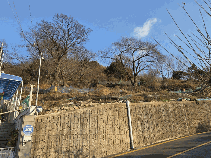 물건 사진 21