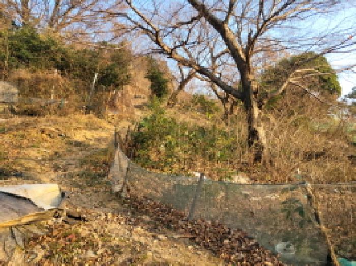물건 사진 6