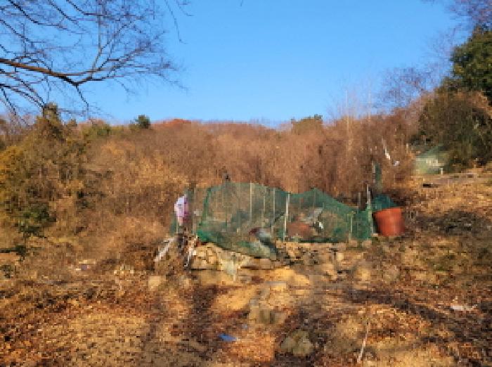 물건 사진 9