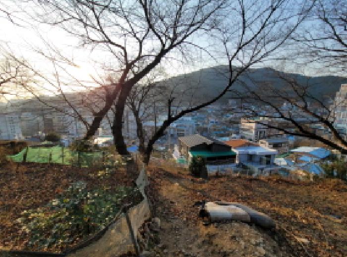 물건 사진 10