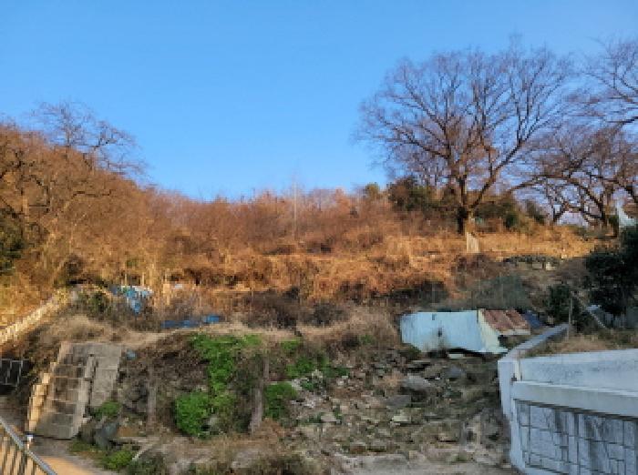 물건 사진 8