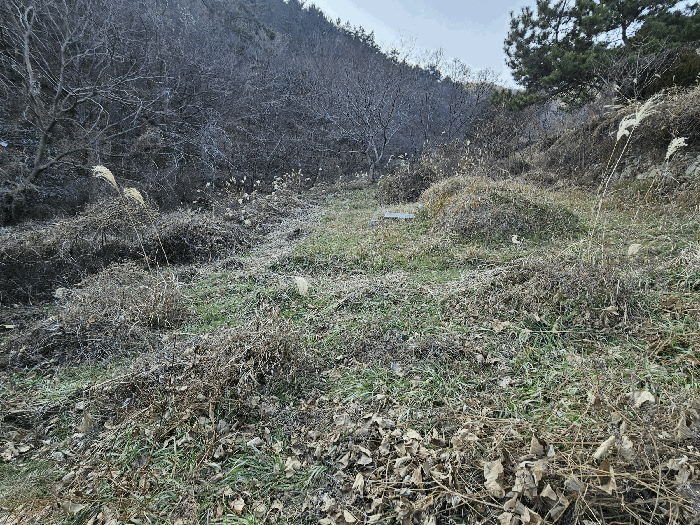 물건 사진 15