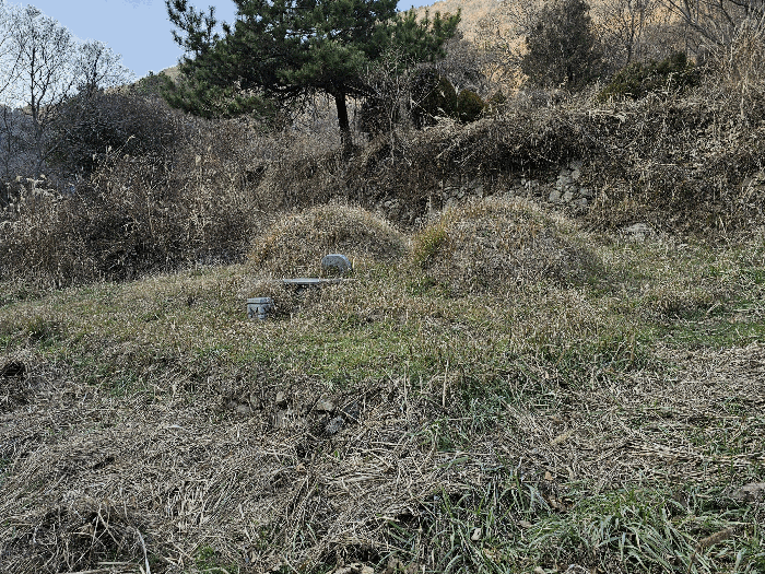 물건 사진 16