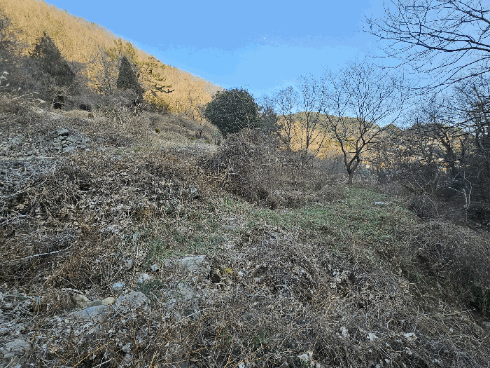 물건 사진 19