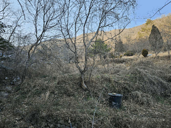물건 사진 20