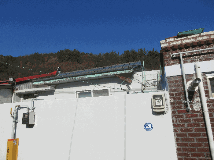 물건 사진 12
