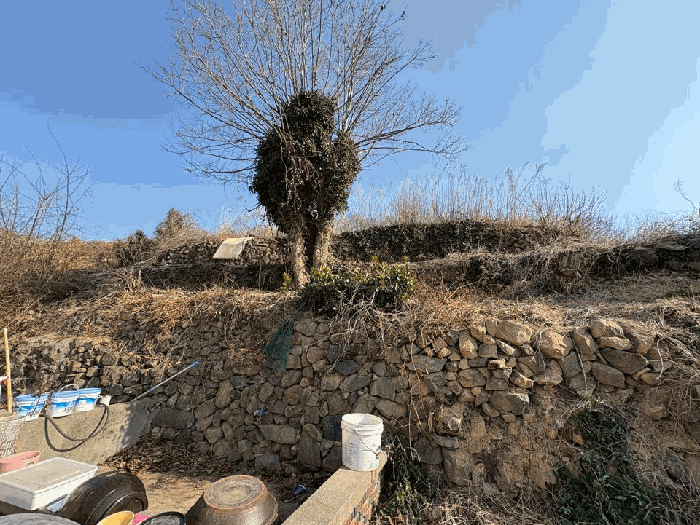물건 사진 22