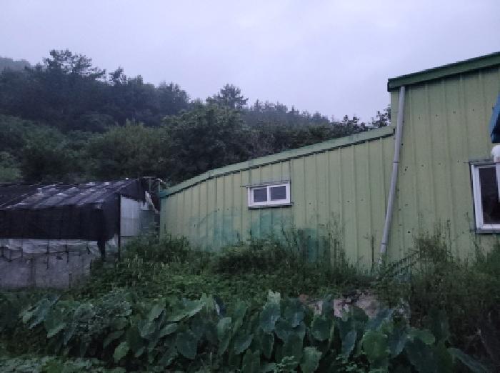 물건 사진 4