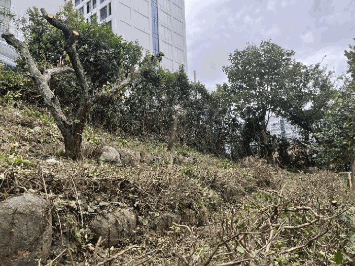 물건 사진 21