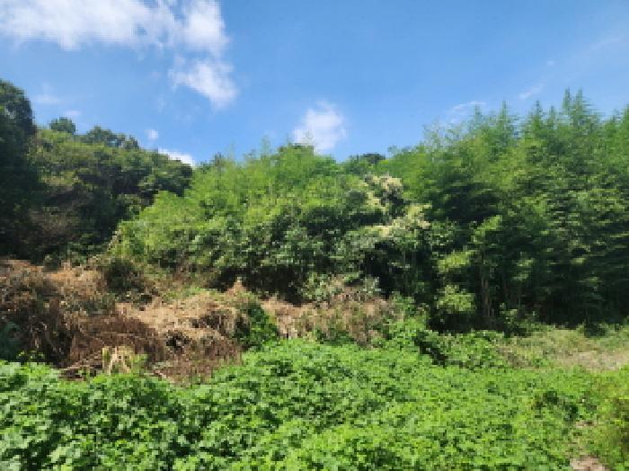 물건 사진 8
