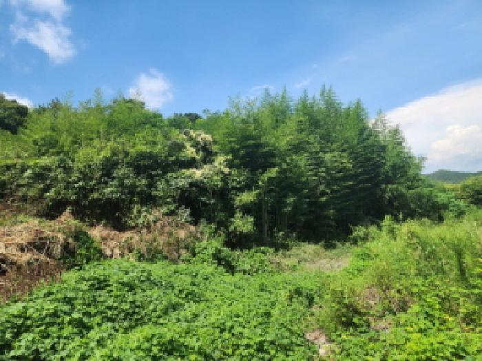 물건 사진 9