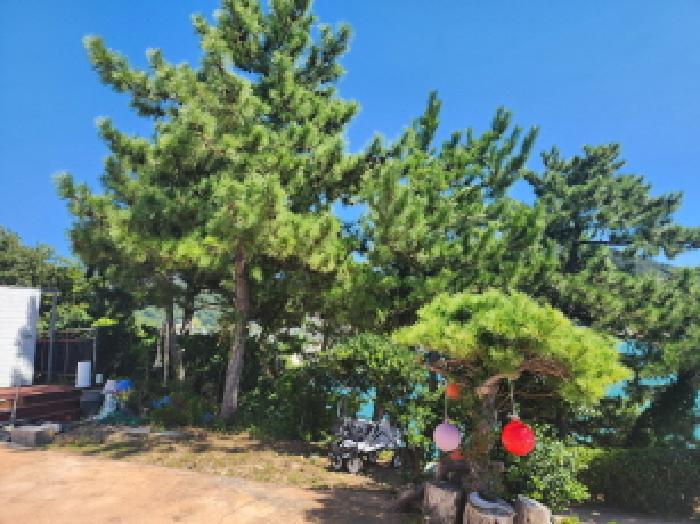 물건 사진 13