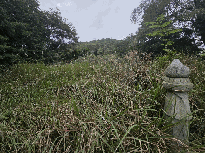 물건 사진 25