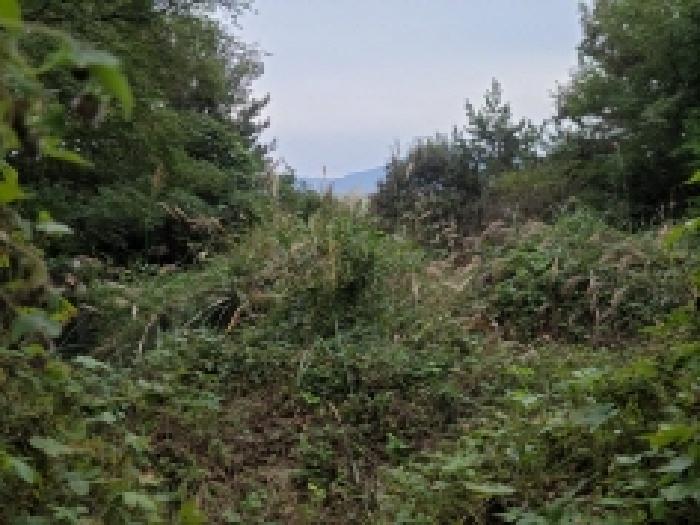 물건 사진 10