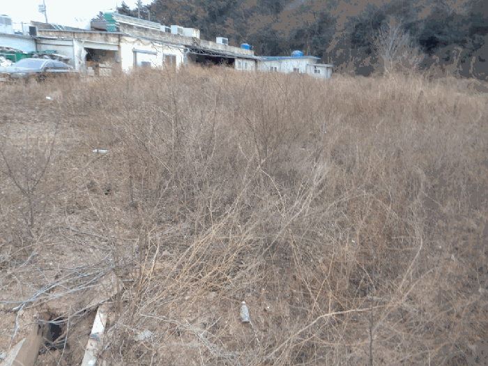 물건 사진 7