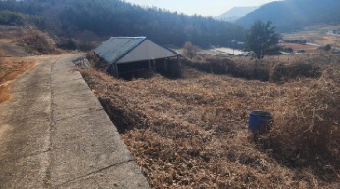 물건 사진 20