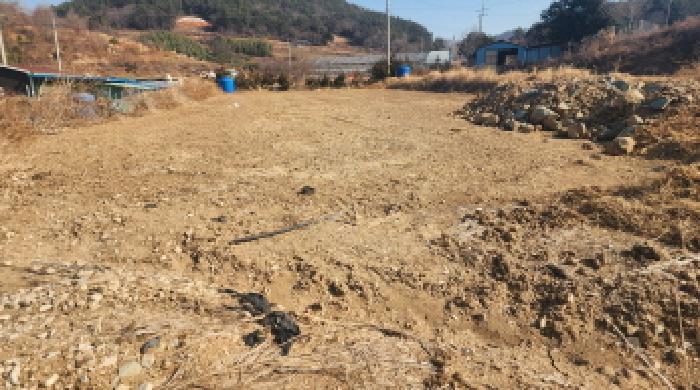 물건 사진 5