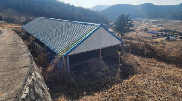 물건 사진 8