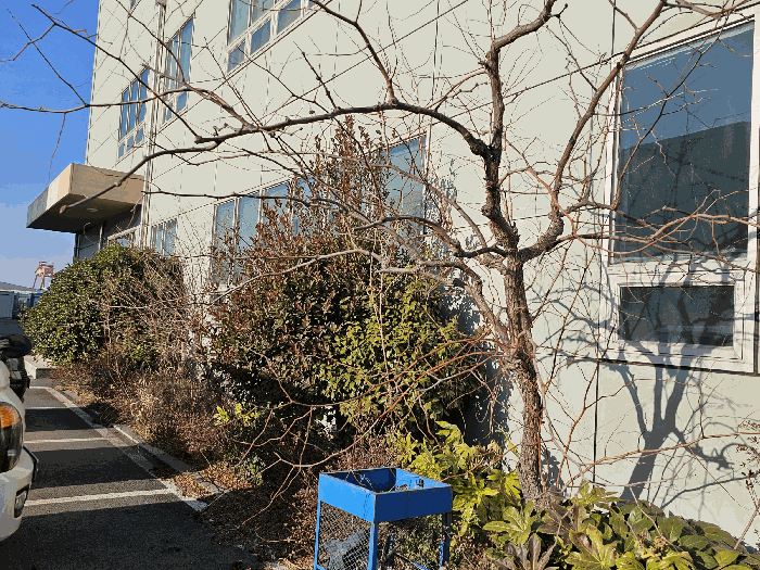 물건 사진 77