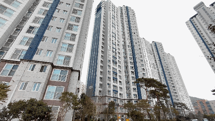 물건 사진 7