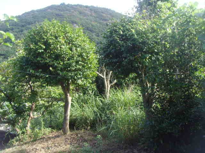 물건 사진 5