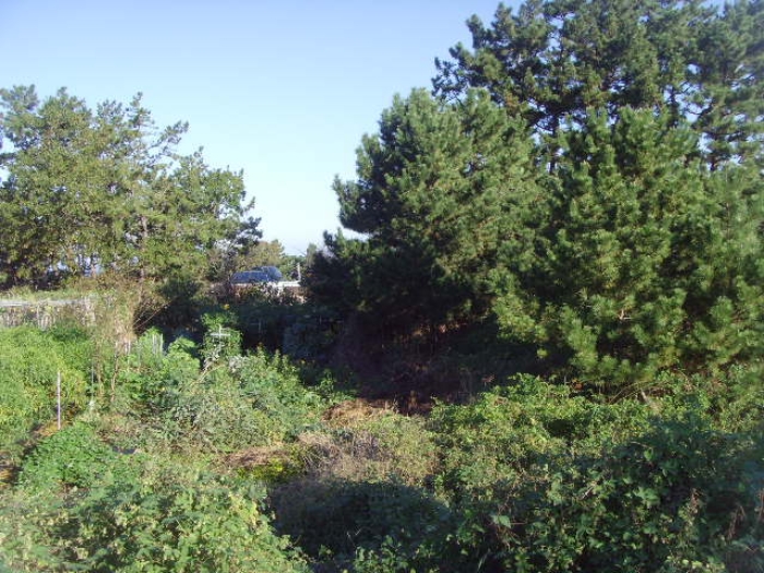 물건 사진 12
