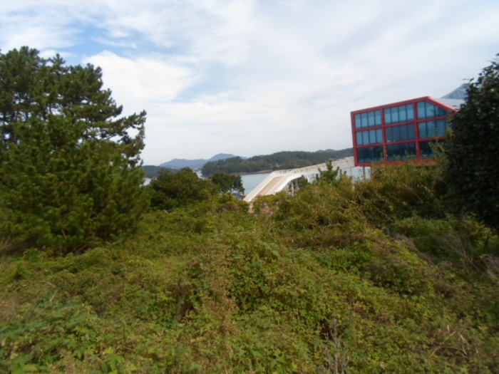 물건 사진 42