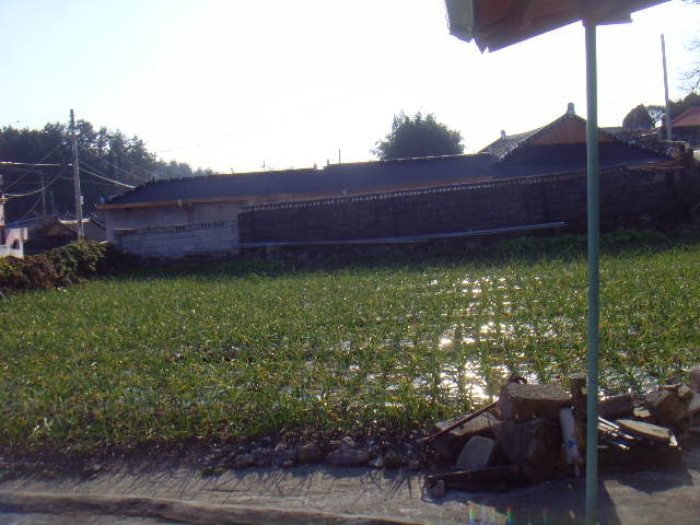 물건 사진 11